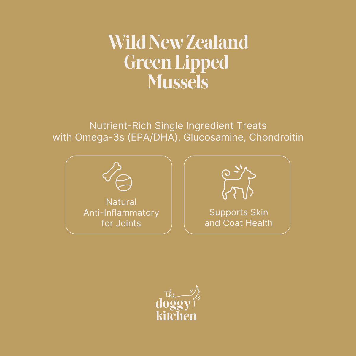 Green Lipped Mussels