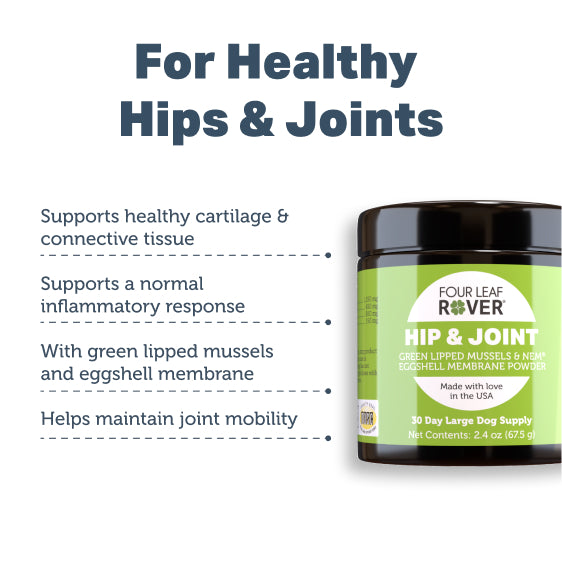 Hip & Joint