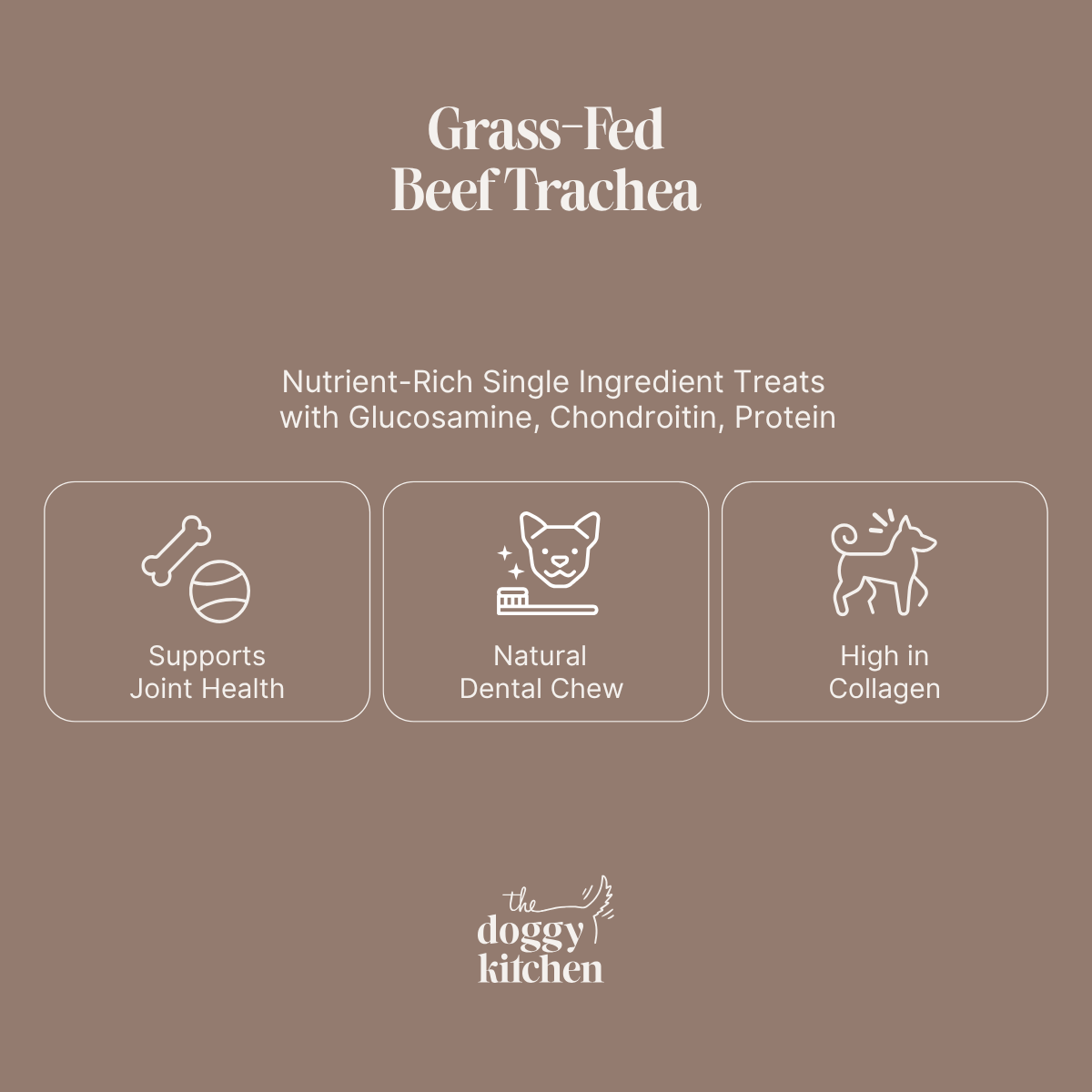 Beef Trachea