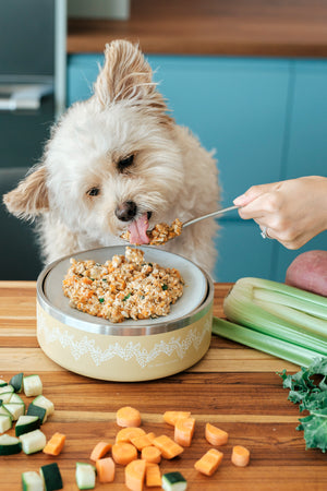Slow Cooker Homemade Chicken Stew For Dogs Organic Chicken Stew