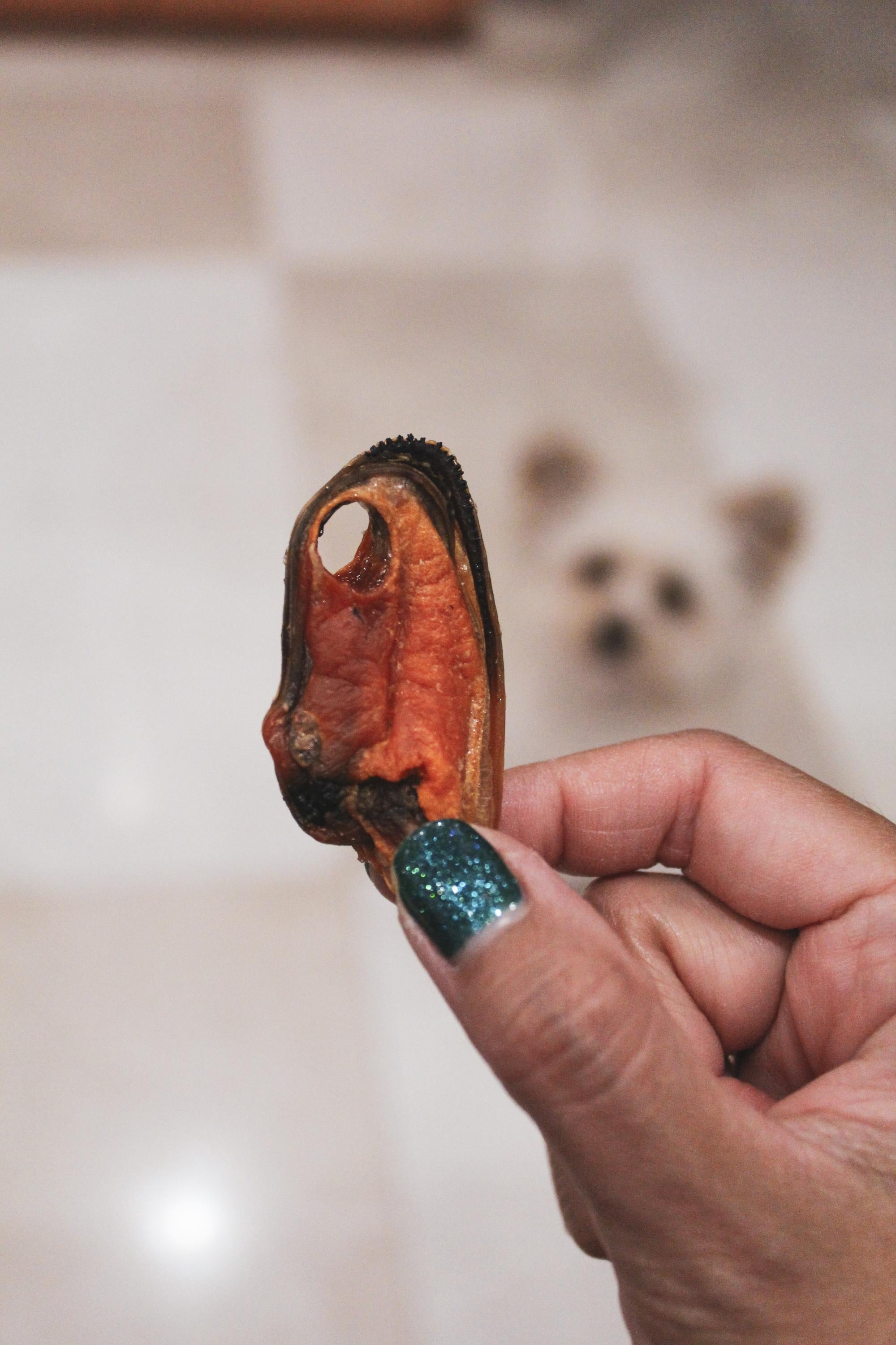 Green Lipped Mussels